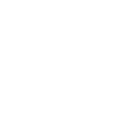 gavel icon